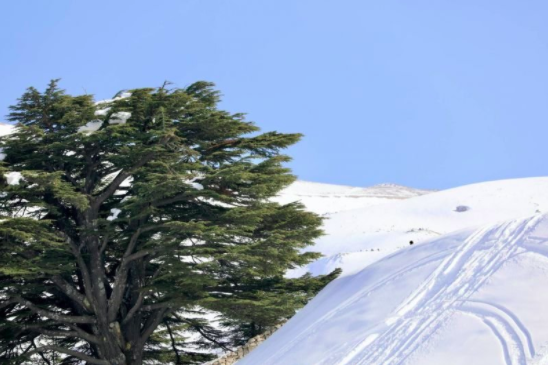 Ski resorts to be priced in lira only, reminds Tourism Ministry Ski resorts to be priced in lira only, reminds Tourism Ministry