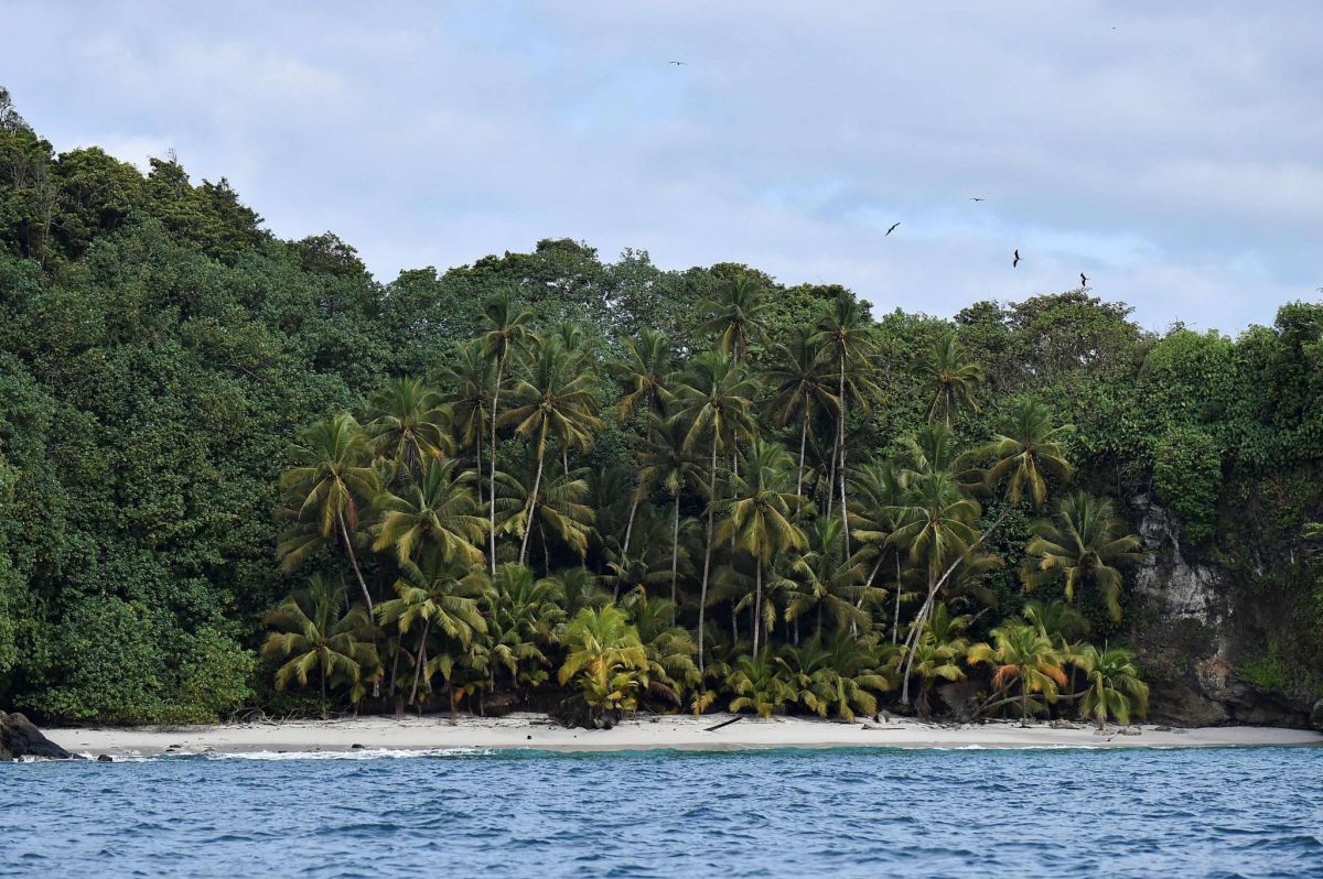 Paradis méconnu de biodiversité préservée, la Gorgone est menacée