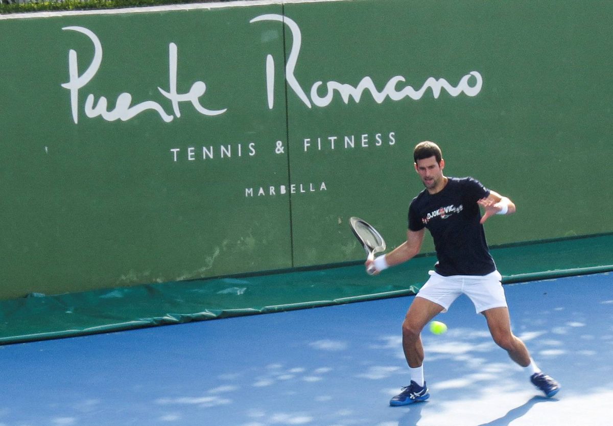 Djokovic admet avoir commis des 