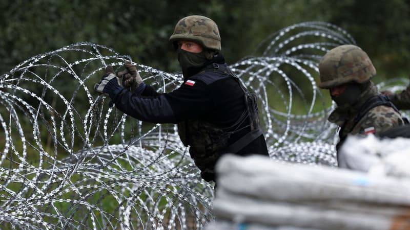 La Pologne construit une clôture à la frontière du Bélarus
