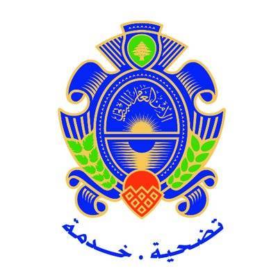 Les branches de la Sûreté générale à Saïda et Tyr fermées pour dix jours