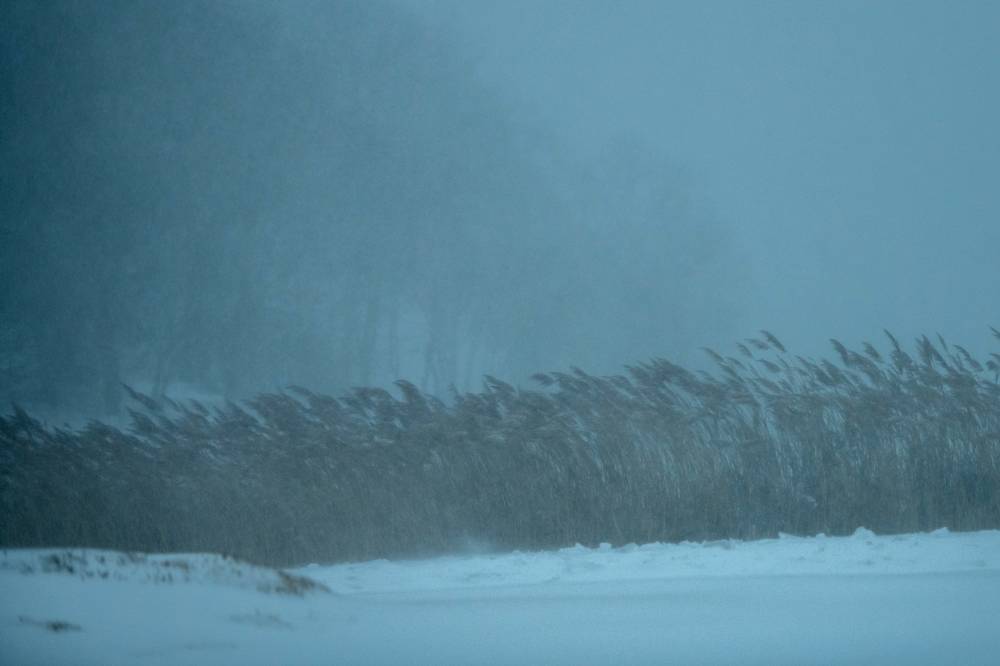 Une tempête de neige 