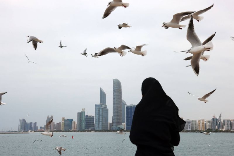 Paris va aider les Emirats à sécuriser leur espace aérien contre les houthis