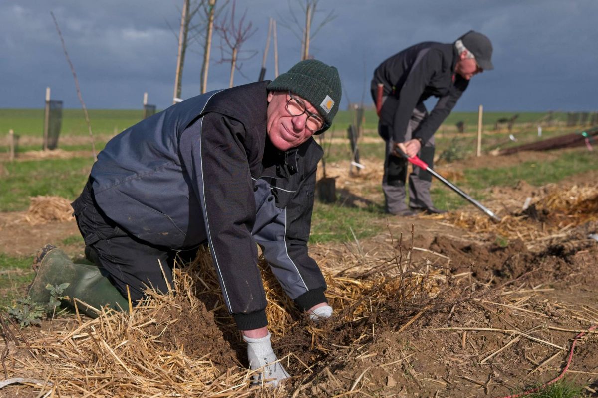 De l’encyclique du pape aux carottes, ce curé devenu maraîcher en France