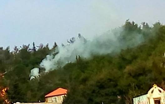 Incendie, probablement d'origine criminelle, dans des espaces verts du Akkar