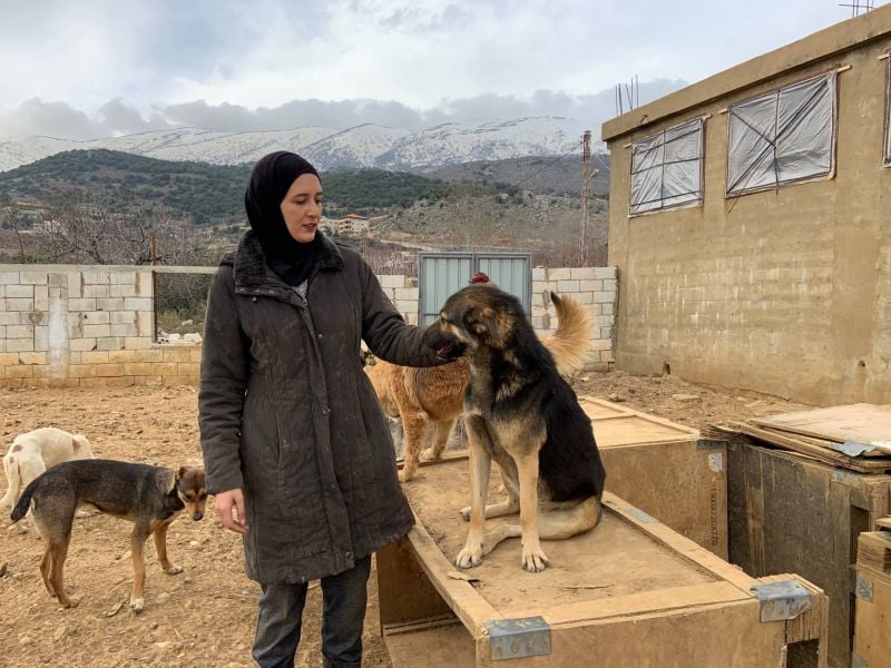 Bekaa dogs get a second chance at a new shelter