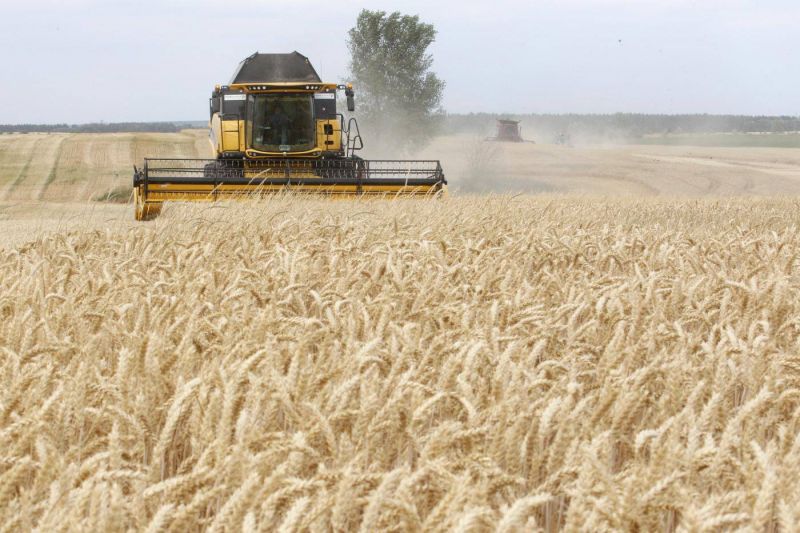 Invasion de l’Ukraine : le Liban craint pour son blé