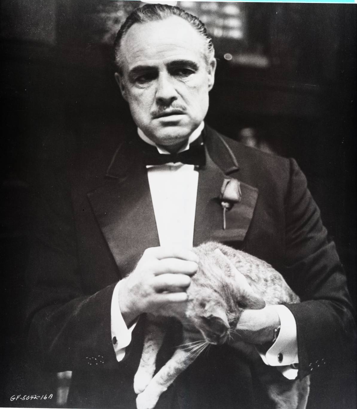« The Godfather » : le casting tout aussi mouvementé que le film lui-même « The Godfather » : le casting tout aussi mouvementé que le film lui-même