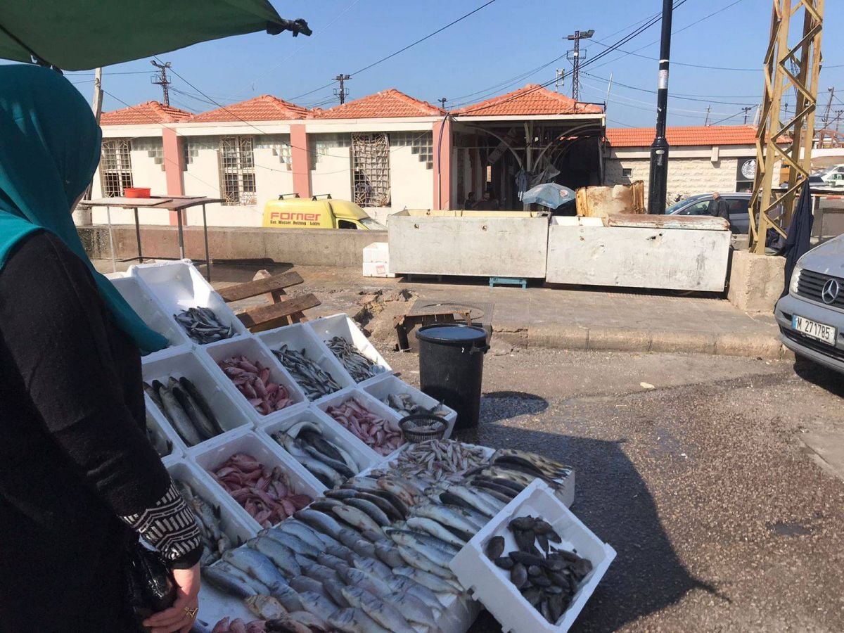 Ce qui se cache derrière le « cartel » du poisson à Saïda