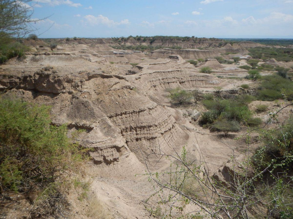 Homo sapiens a cohabité avec Néandertal en Europe