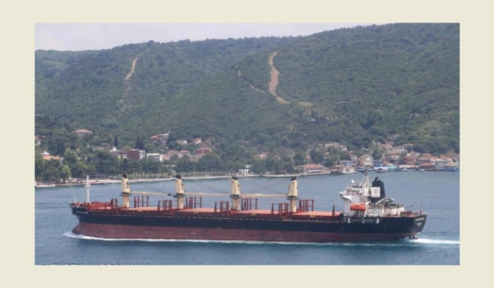 L'équipage d'un navire libanais accosté dans un port ukrainien appelle les autorités à l'aide