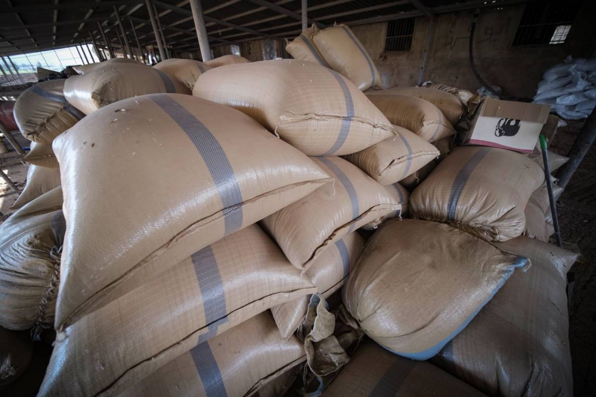 Economy minister seeks to assuage fears of wheat shortages Economy minister seeks to assuage fears of wheat shortages