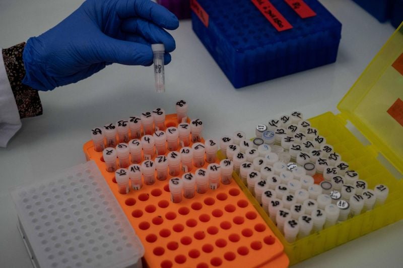 Dans un laboratoire français, le grand livre ouvert de l’ADN