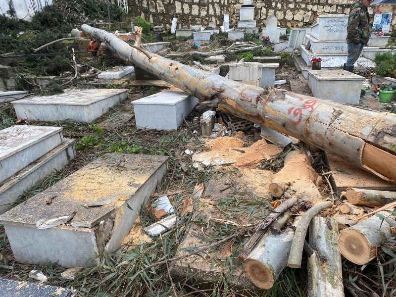 Abattage massif d’arbres à Kfarremane : l’affaire est devant la justice