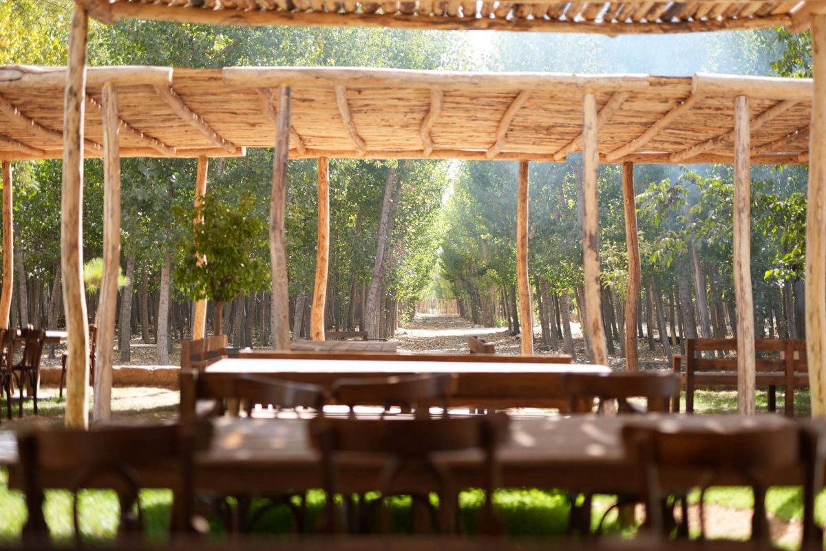 Sufra, la gastronomie de terroir au cœur de la Békaa