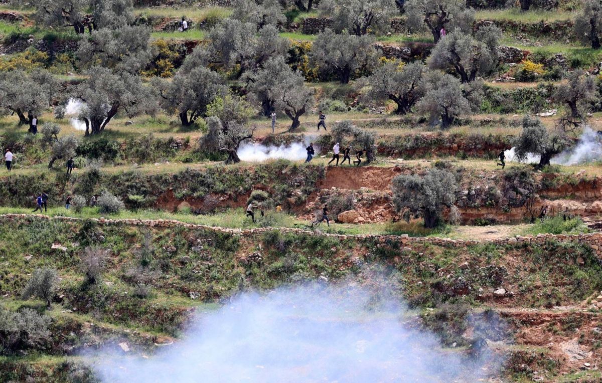 Israël arrête 12 Palestiniens en Cisjordanie occupée Israël arrête 12 Palestiniens en Cisjordanie occupée