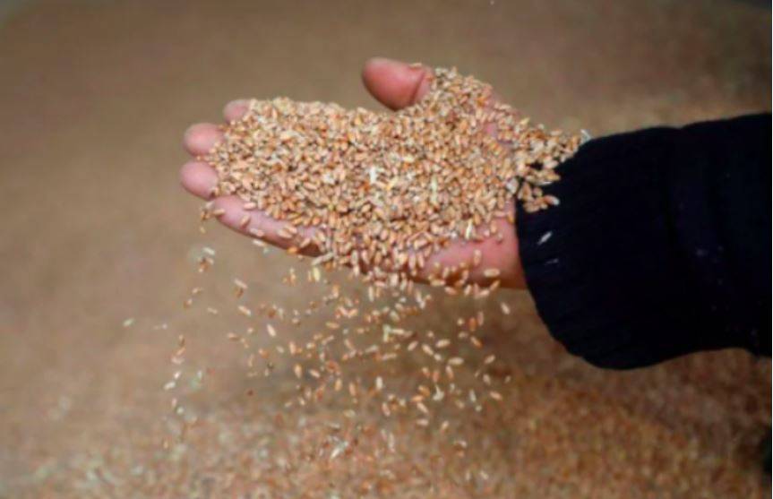 Salam signs final report of negotiations with the World Bank for emergency loan to secure wheat Salam signs final report of negotiations with the World Bank for emergency loan to secure wheat
