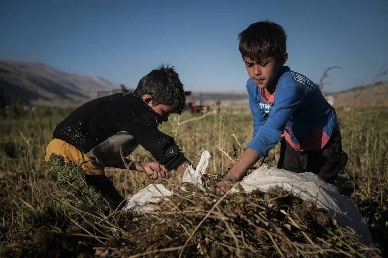 L'ONU exhorte le Liban à 