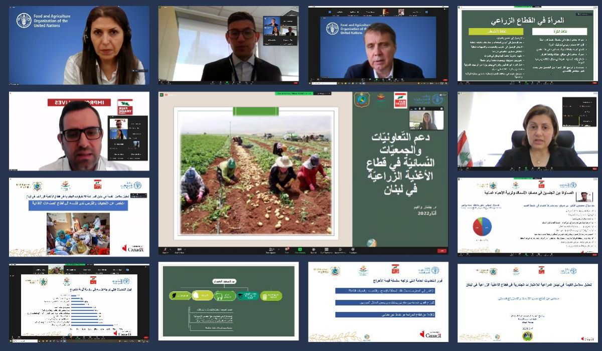 Évaluation du rôle des femmes dans l’agroalimentaire au Liban