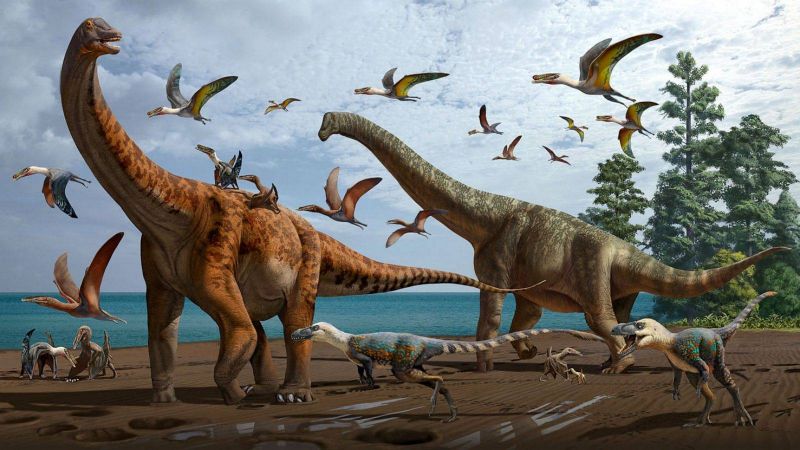 La plupart des dinosaures avaient le sang chaud - L'Orient-Le Jour