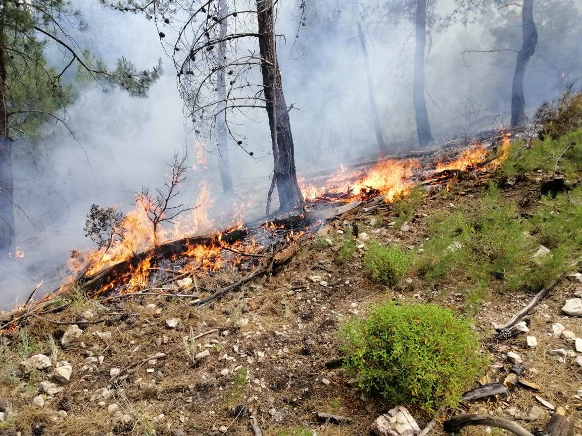 Army deploys helicopters to fight North Lebanon wildfire