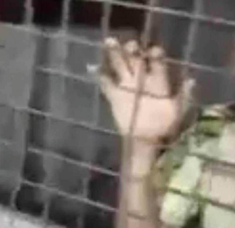 Tollé après des images d'un garçon enfermé dans une cave à Tripoli