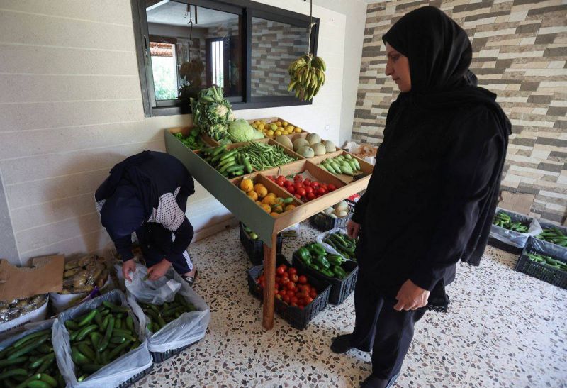 Back to the land: Lebanese family turns to farming to survive crises