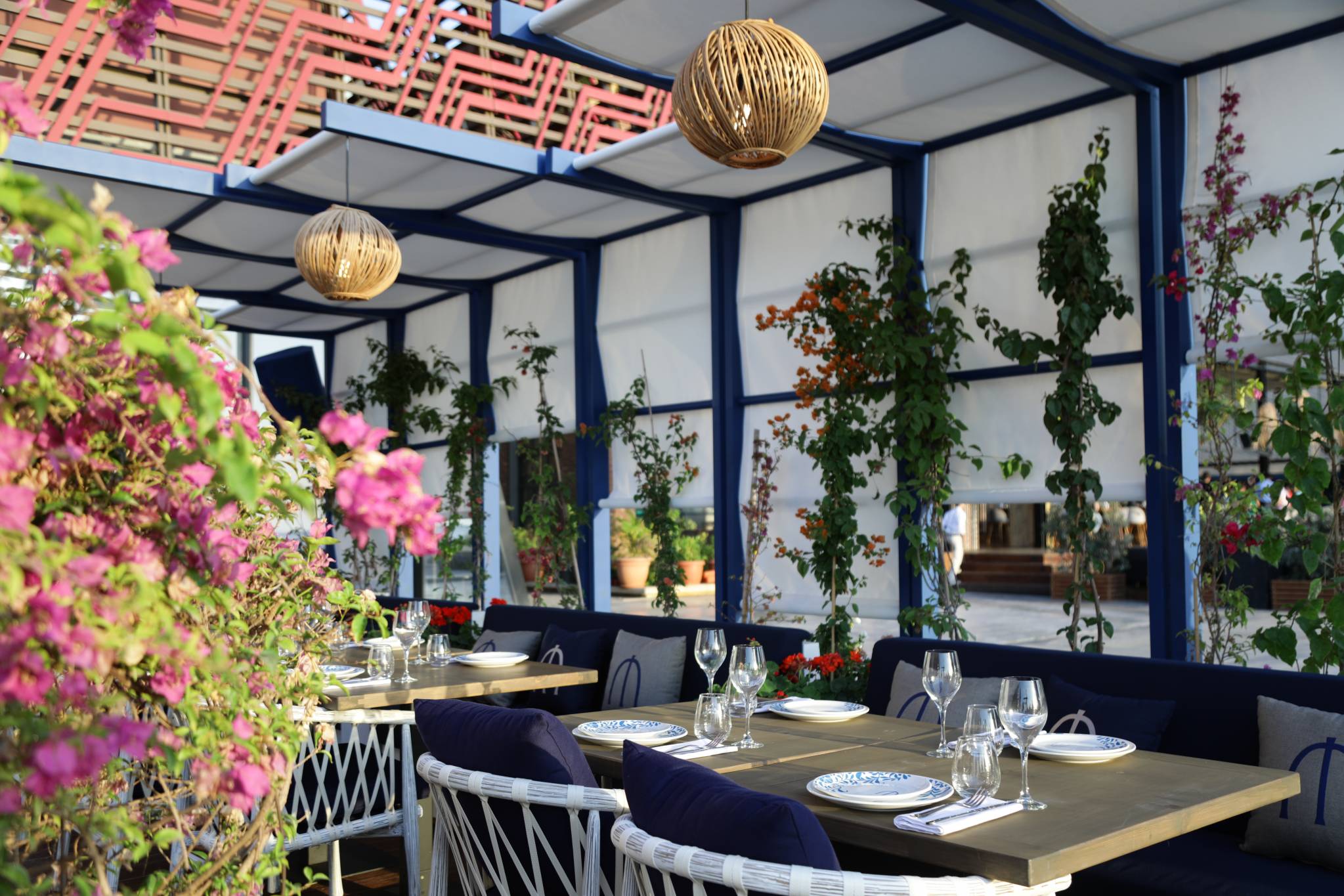 Yamas Un Nouveau Restaurant Grec Familial Ouvre Ses Portes Austin The