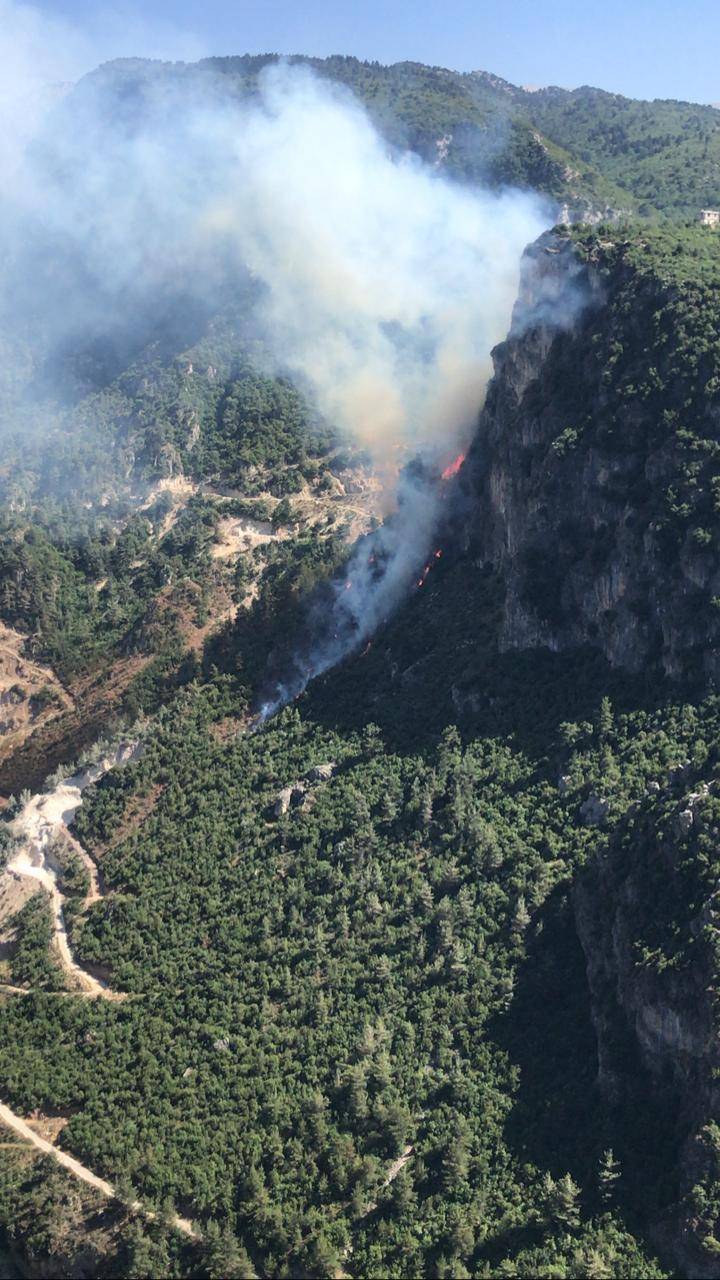Incendie dans la région de Wadi Jehannam au Akkar