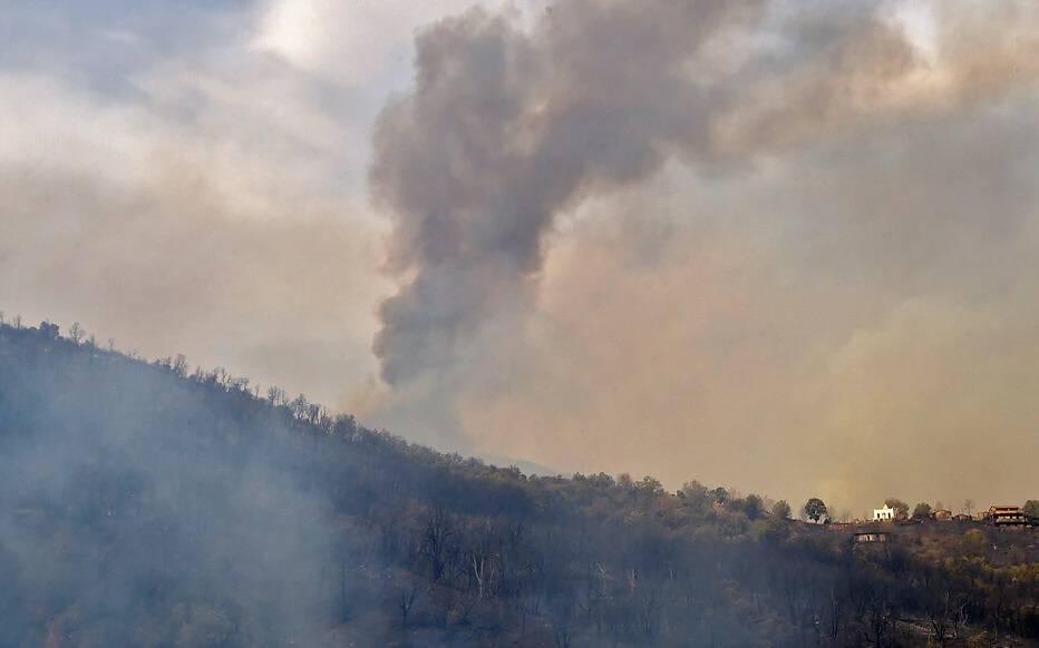 Deux morts dans des feux de forêt en Algérie
