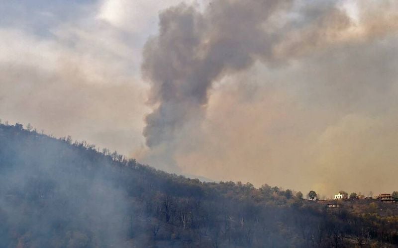 Deux morts dans des feux de forêt en Algérie