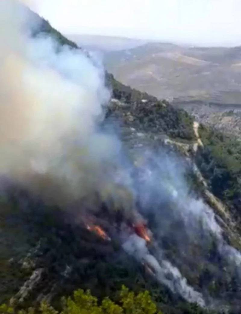 Un incendie ravage des forêts dans le Akkar