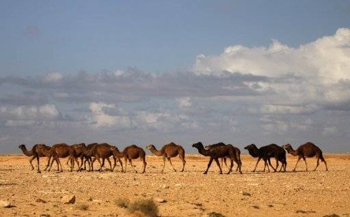 Vingt personnes mortes de soif en plein désert