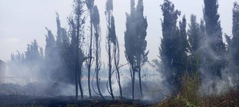 Des espaces verts ravagés par un incendie au Liban-nord