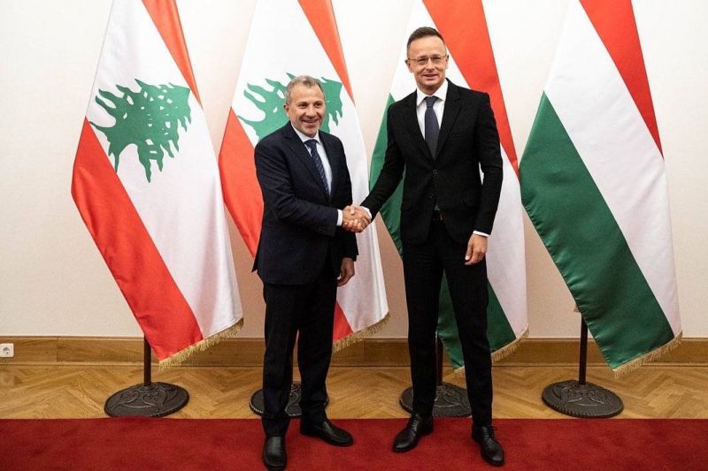 Bassil meets with Hungarian foreign affairs minister
