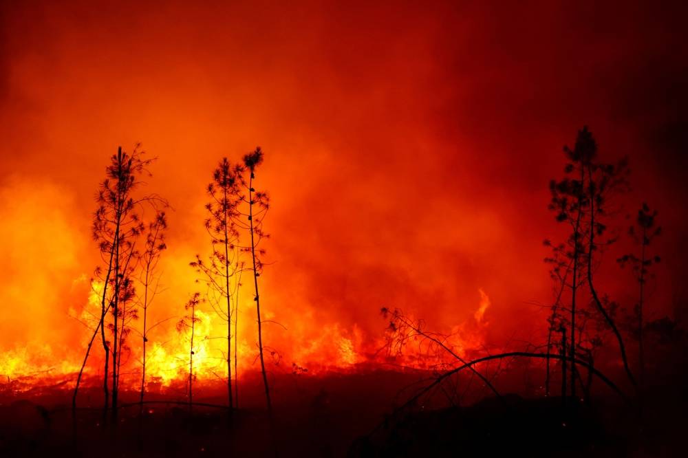 Les records de température tombent en France, vague de chaleur inédite en Grande-Bretagne