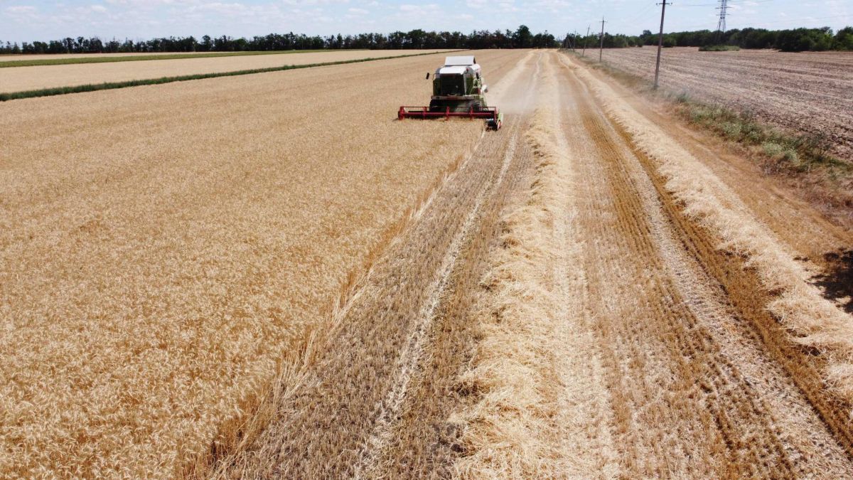 Céréales ukrainiennes et engrais russe : un accord va être signé vendredi en Turquie