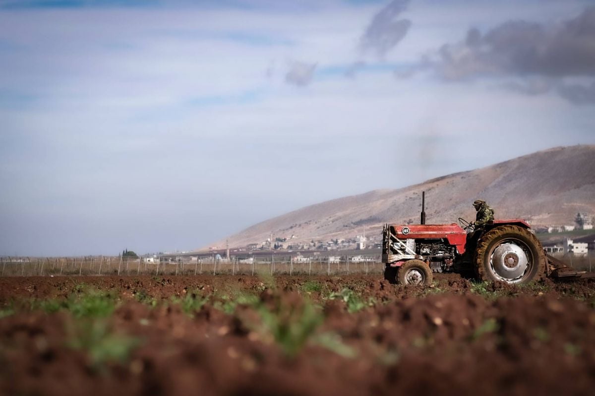 A less bad year: Pace of decline in Lebanon’s agriculture sector slows A less bad year: Pace of decline in Lebanon’s agriculture sector slows