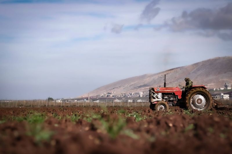 Le déclin du secteur agricole libanais a été moins prononcé en 2021
