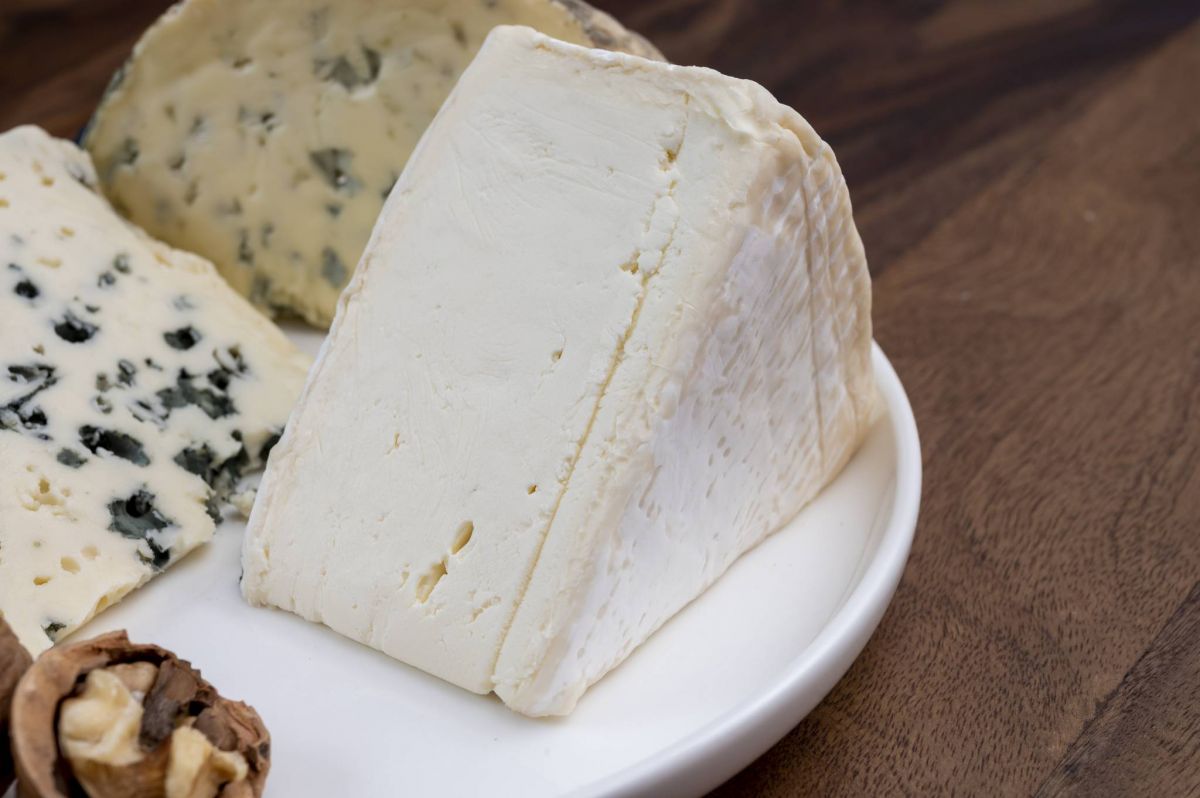 Fromages au lait cru : les bactéries à l’œuvre