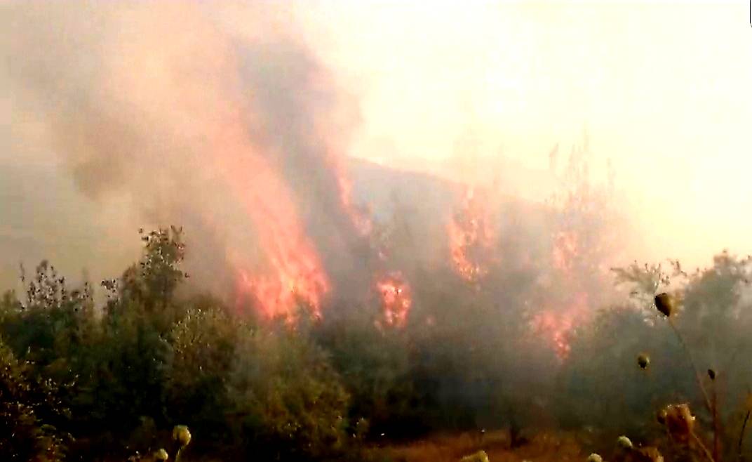 Fire in Akkar under control