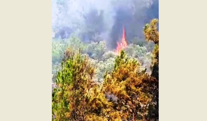 North Lebanon wildfire rekindles, giving rise to further fears among local residents