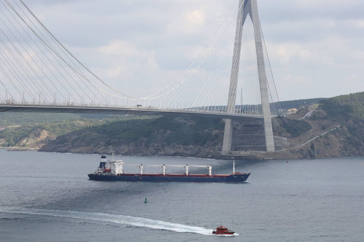 Another migrant boat sinks, Nasrallah speaks on Israel's bombardment, Ukrainian ship shifts gears: Everything you need to know to start your Monday Another migrant boat sinks, Nasrallah speaks on Israel's bombardment, Ukrainian ship shifts gears: Everything you need to know to start your Monday