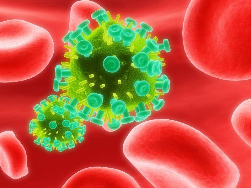 Une bactérie causant une grave maladie infectieuse détectée
