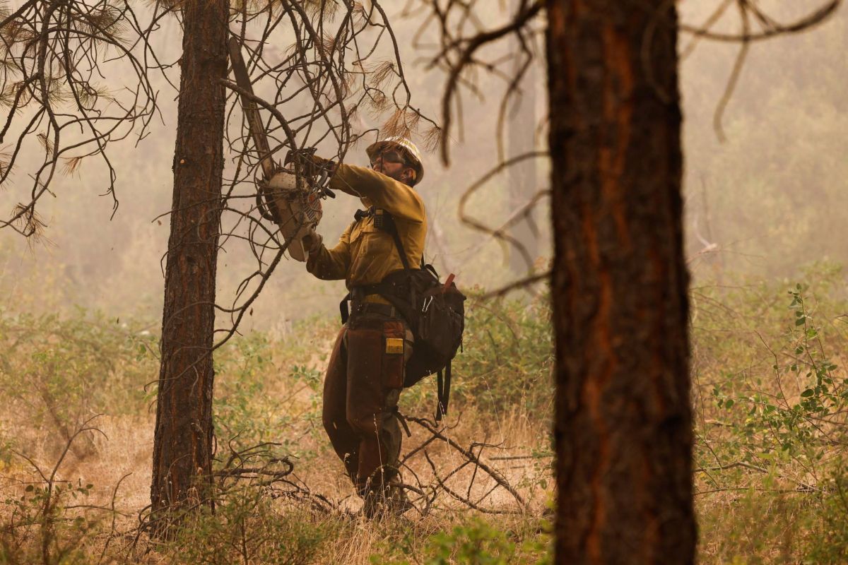 Deux morts dans le plus vaste incendie de l'année en Californie