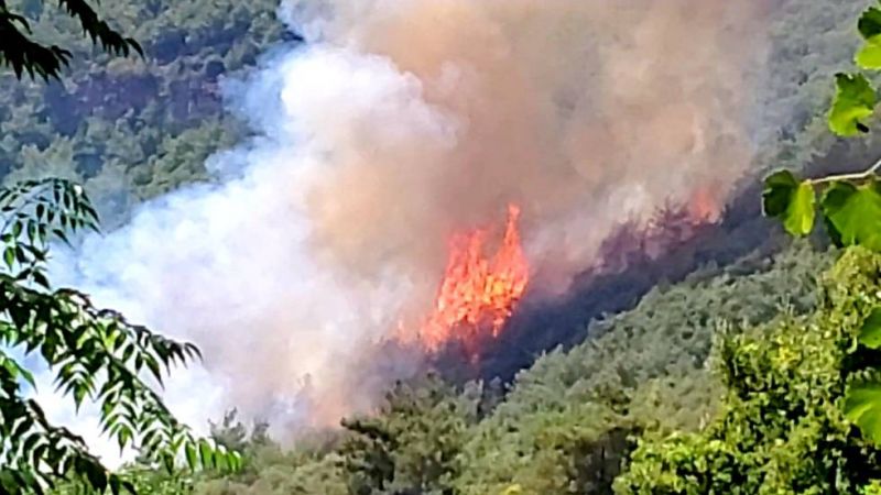 Fire breaks out for third time this week near Akkar village