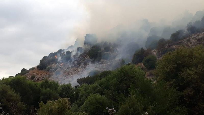 Incendie dans des espaces verts au Akkar