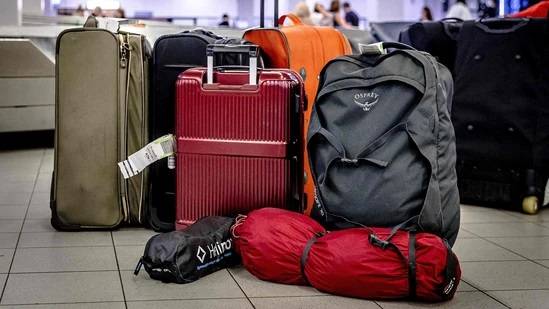 Les restes de deux enfants retrouvés dans des valises vendues aux enchères
