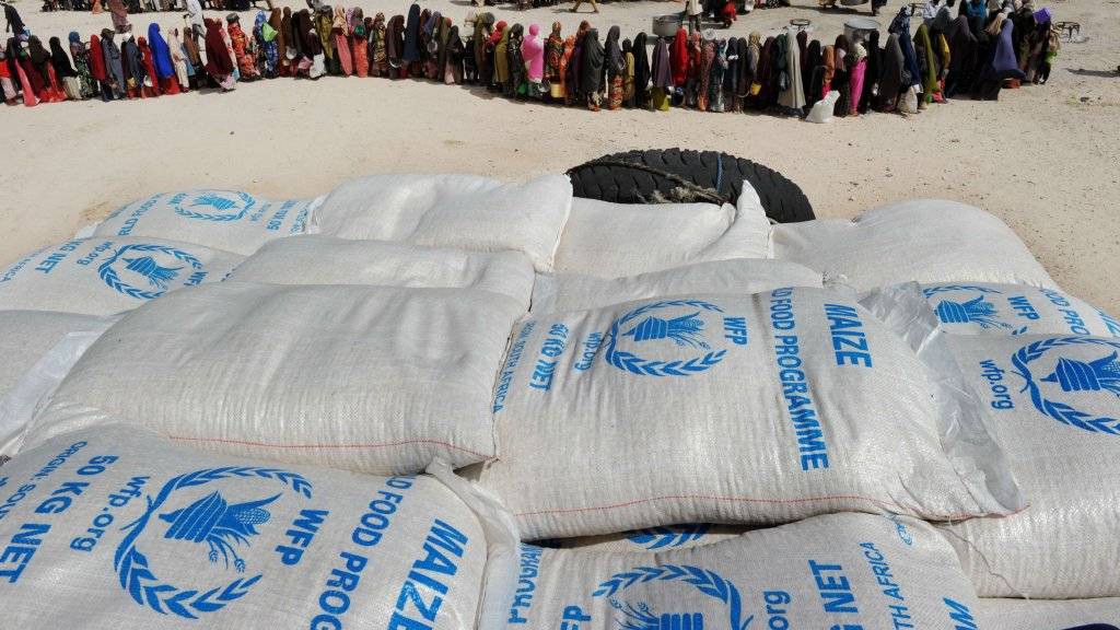Un premier navire de l'ONU doit accoster vendredi en Ukraine pour récupérer des céréales