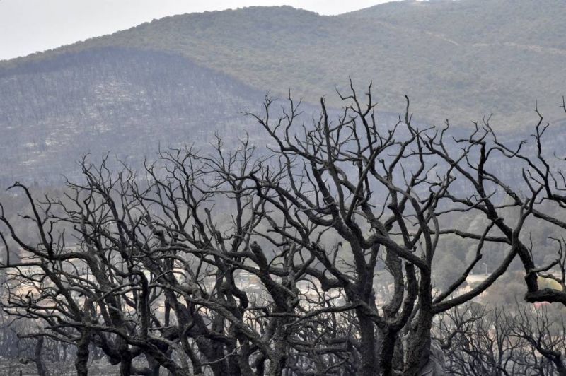 Plus de 10.000 hectares d'un parc classé par l'Unesco partis en fumée